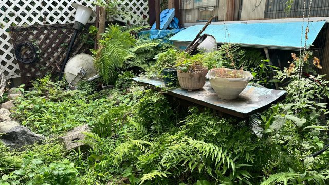 静かな路地奥の住まい～神奈川県藤沢市藤が岡２丁目～の庭|自作のお庭づくりやガーデニングが楽しめる緑豊かな庭スペース