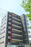 ＰＲＩＭＡ　ＳＴＥＬＬＡの画像