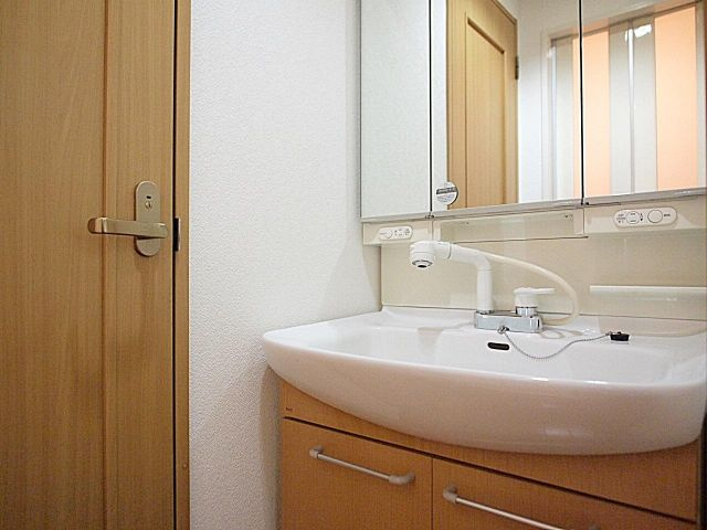 リアンジェ難波の洗面所