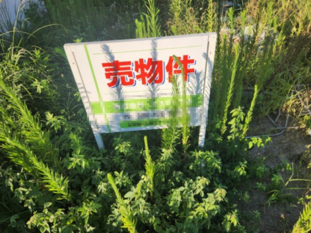 倉敷市有城　167.14坪