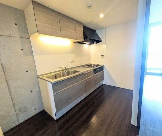 菊池郡大津町大字室の賃貸マンションのキッチン|使いやすいキッチンです