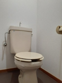 【トイレ】 | セントポーリアＳＴ | トイレです
