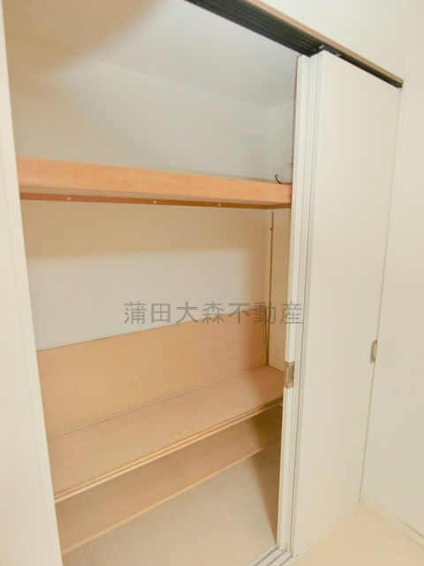 大田区田園調布１丁目住宅の収納|洋室収納　クローゼット
