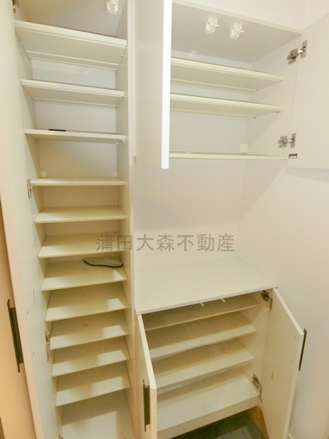 大田区田園調布１丁目住宅の収納|玄関収納