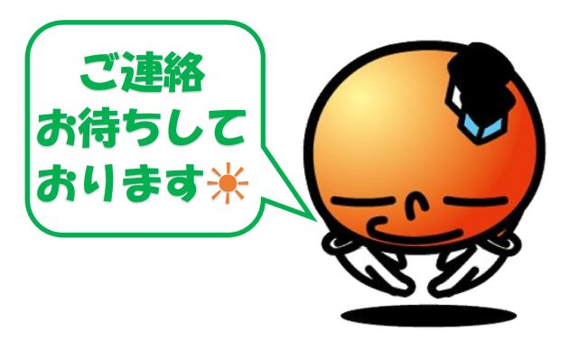 今帰仁村湧川の区画図