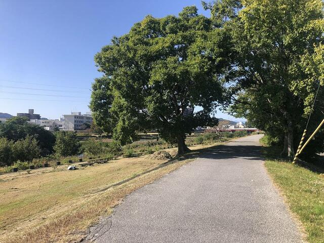 高知市鏡川町 中古住宅のその他|鏡川堤防沿い