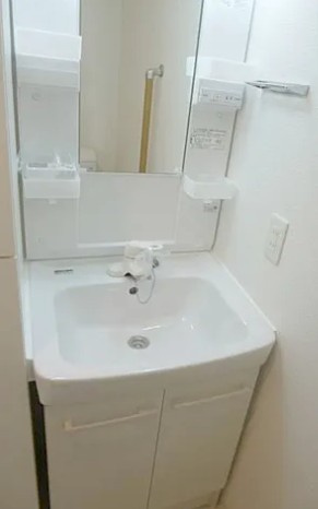 スカイコート板橋大山の洗面所