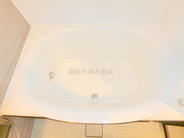 クレヴィアリグゼ西馬込の浴室