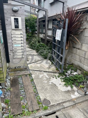 【エントランス】 | トライベッカ