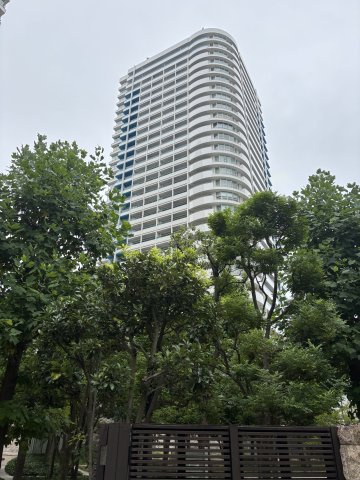 の-の画像