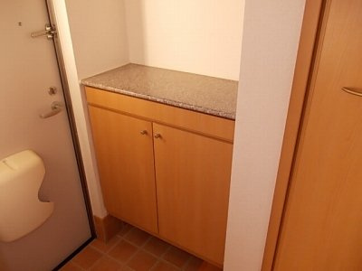 フルリール南栄Ⅰの玄関|落ち着いた玄関です