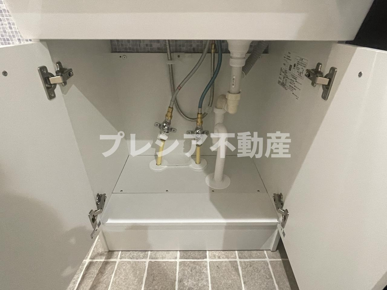セリージャ デ トーアのその他