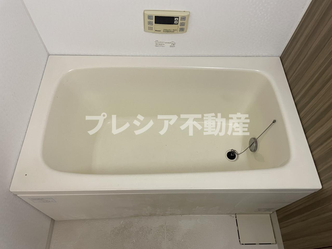 セリージャ デ トーアのその他