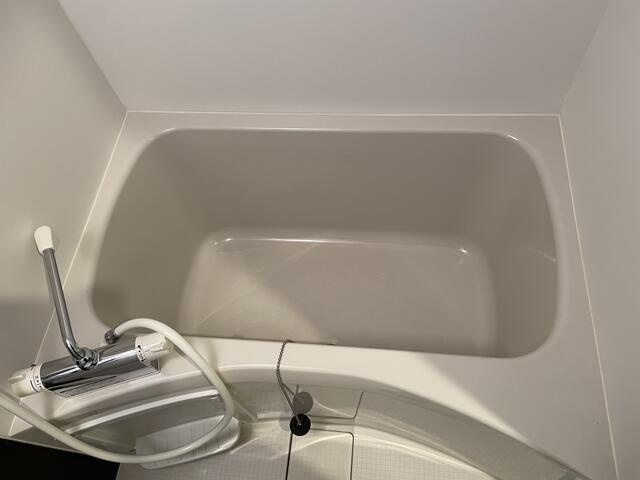 ビラビスタ猿楽町の浴室