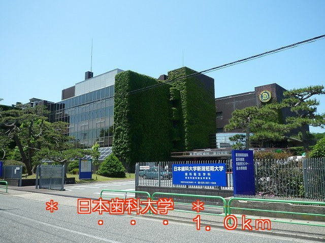 ベルクロスロードの周辺|日本歯科大学まで1000m