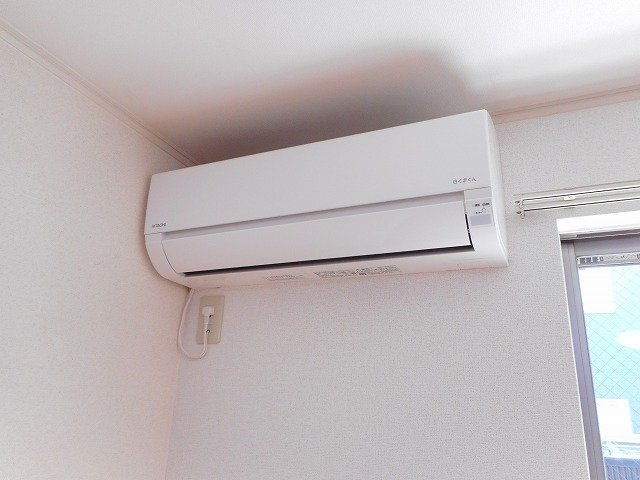 バイオレットのその他