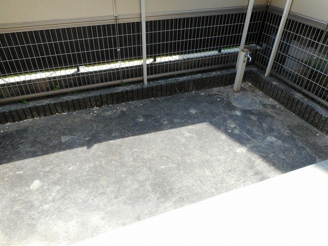 バイオレットの庭
