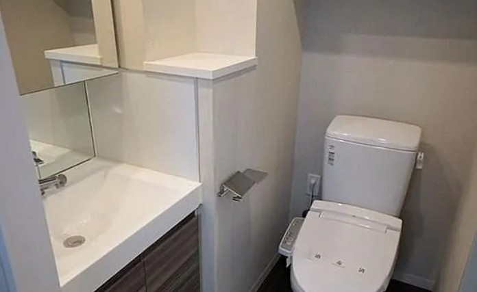 N-Stage板橋本町アジールコートの洗面所