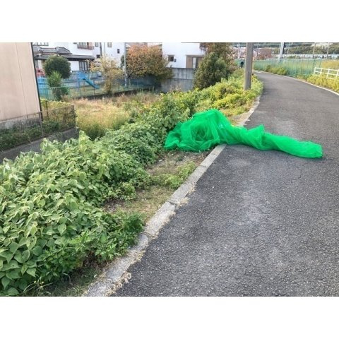 ミナセリバーハイツの周辺