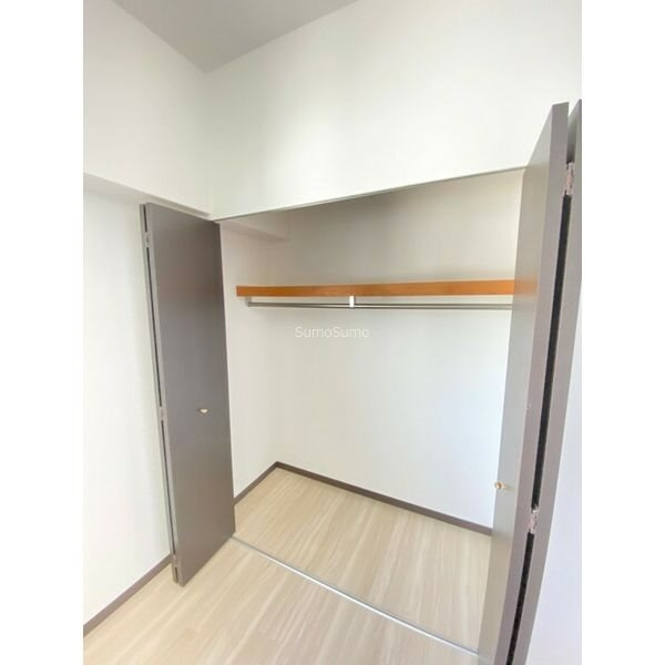 CITY SPIRE難波WESTⅡ(HERMI TAGE NAMBA WEST)の収納