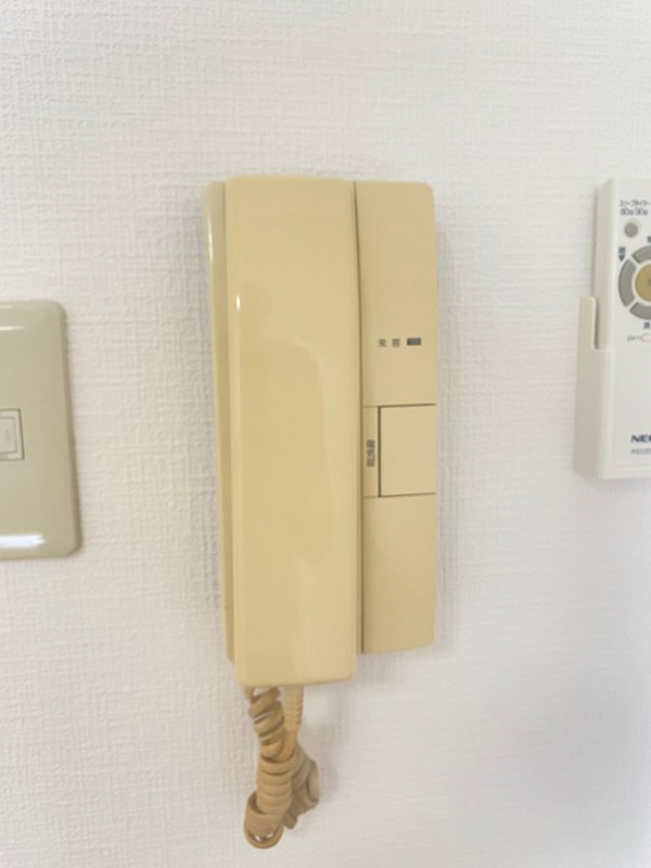 フィレンツェのセキュリティ
