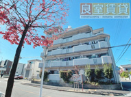 赤坪第2小菅ビルの画像