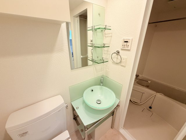 セレニテ神戸元町の洗面所
