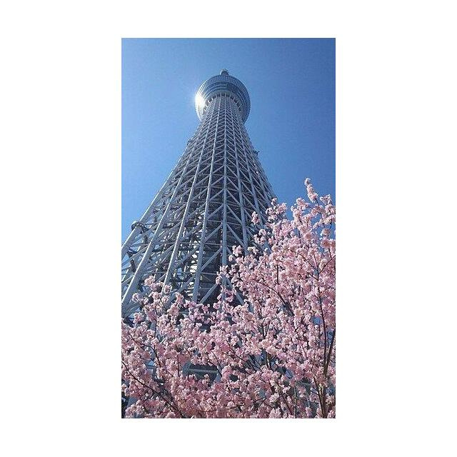スカイコート押上壱番館のその他