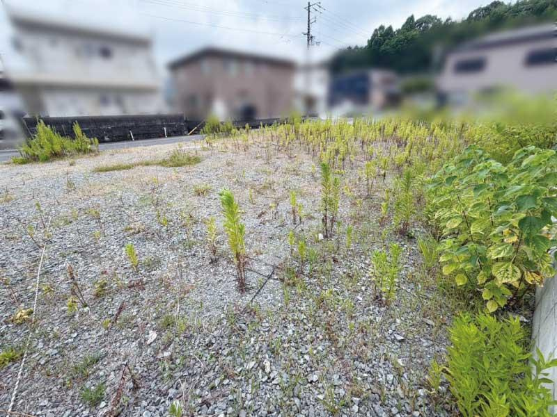 高知市朝倉西町2丁目　②　売土地の外観