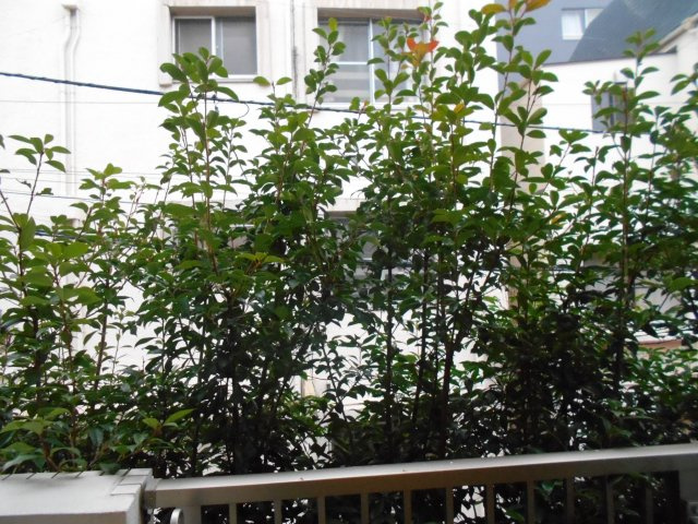 【展望】 | ベルヴュコート中野本町