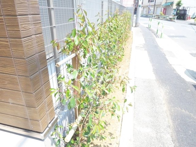 Ｌａｐｕｌｅ　ｐａｒｔⅡのその他|植栽です☆