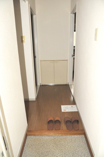ダイモンハイツの玄関|※別号室の同間取の参考写真です