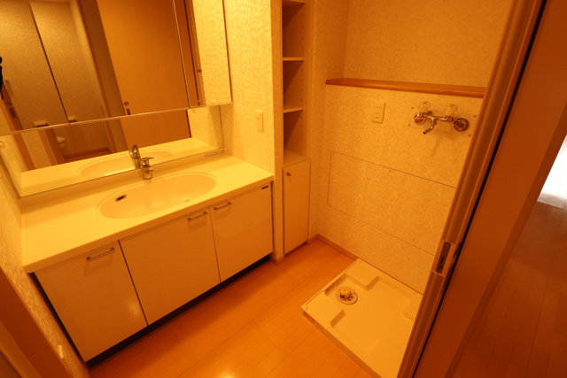 ロイヤルパーク多摩川2番館の洗面所|※現況優先となります。