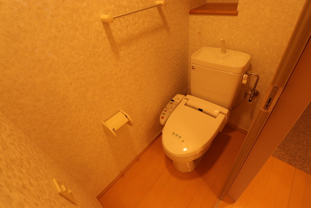 ロイヤルパーク多摩川2番館のトイレ|※現況優先となります。