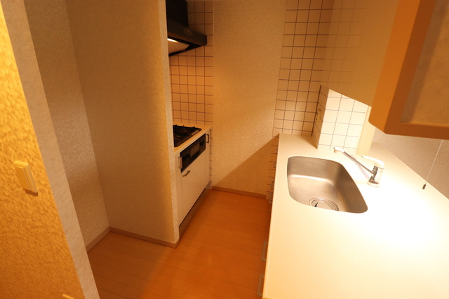 ロイヤルパーク多摩川2番館のキッチン|※現況優先となります。