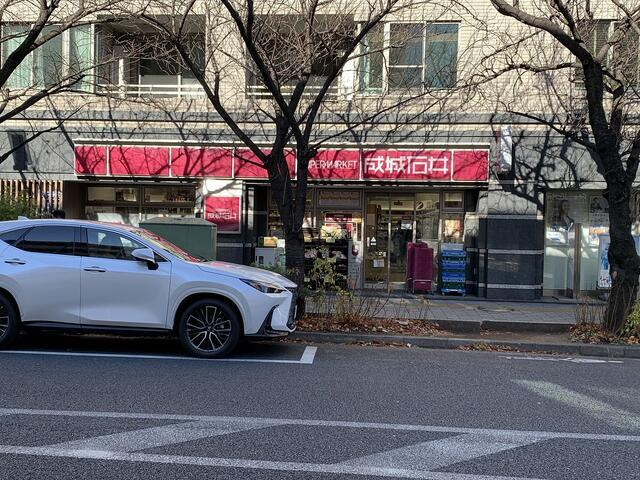 ソルナクレイシア桜新町の周辺|成城石井桜新町店まで494m