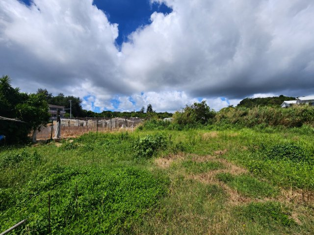 うるま市石川東恩納の外観