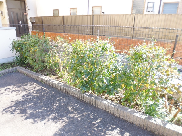 エスパースリュミエール赤羽西が丘のその他|植栽です♪