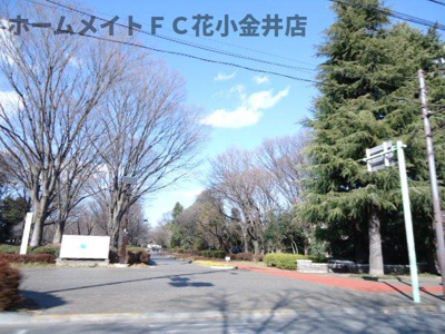 【周辺】 | ロワ・セリシールＭ | 都立小金井公園まで1,223ｍ