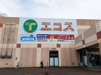 【周辺】 | チヨ　タウンＢ | その他