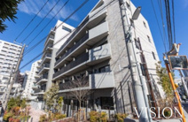 Sakuras Gotandaの画像