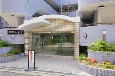 【エントランス】 | セザール長原