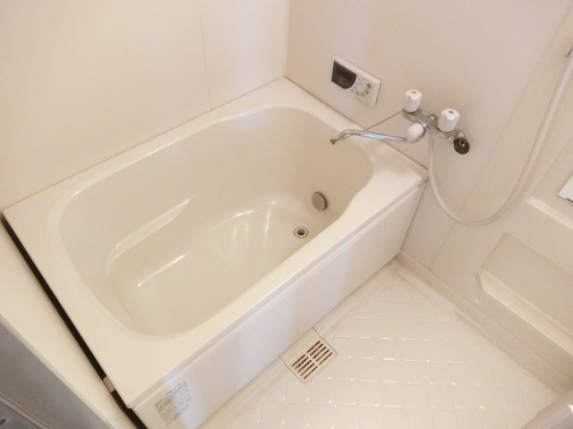 シャトーかわもとの浴室