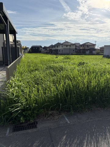 ６６０６６　羽島市正木町不破一色土地の外観