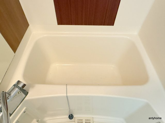 CITY SPIRE幸町　仲介手数料無料の浴室