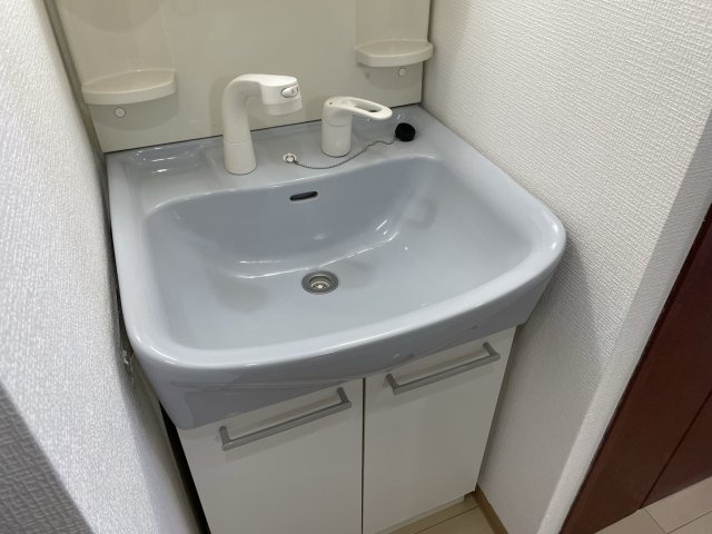 メゾン・デ・ノムラ島之内　の独立洗面台|イメージとして同マンション他部屋を表示しています