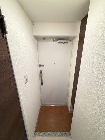 Luxe難波南の玄関