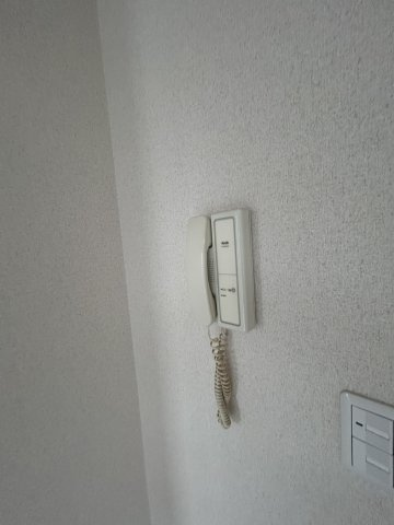 パレスジョージタウンのセキュリティ