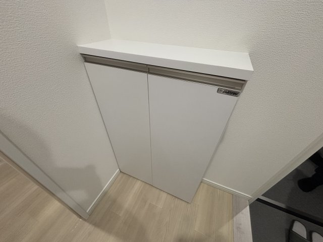 Lotso亀有の玄関