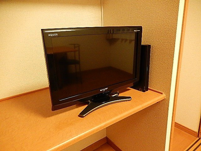 レオパレスガーネットのその他|テレビ